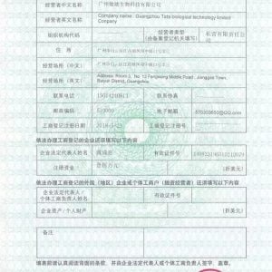Imgi 72 Chinese Foreign Trade Record 300x300 1